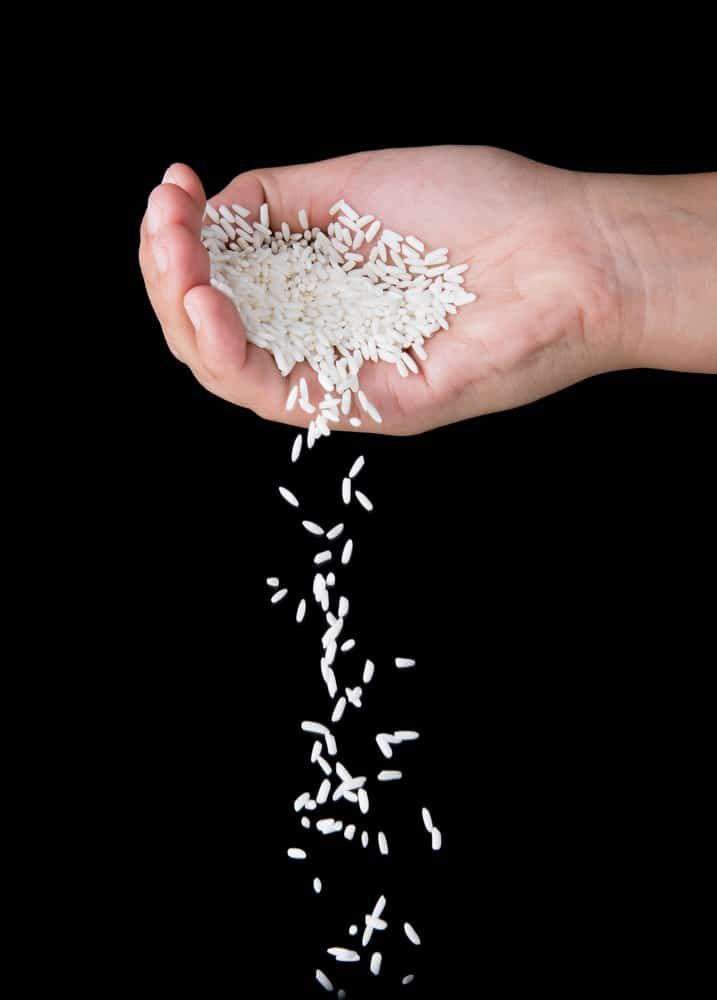 Broken rice for bulk export