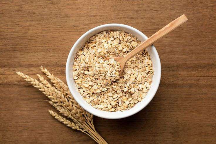 Oats for wholesale cereal supply