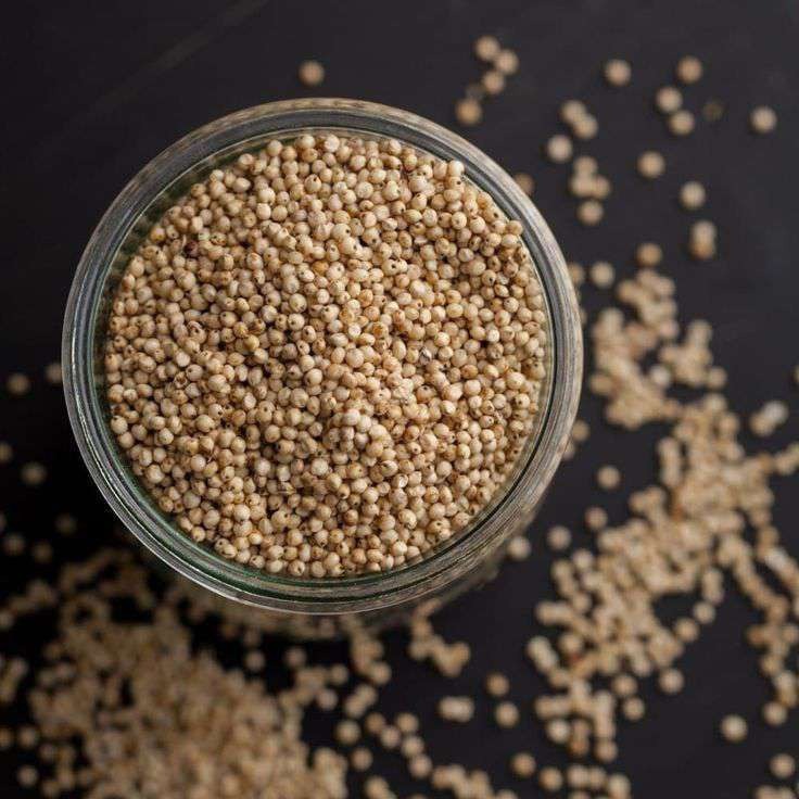 Sorghum cereal grain export supply