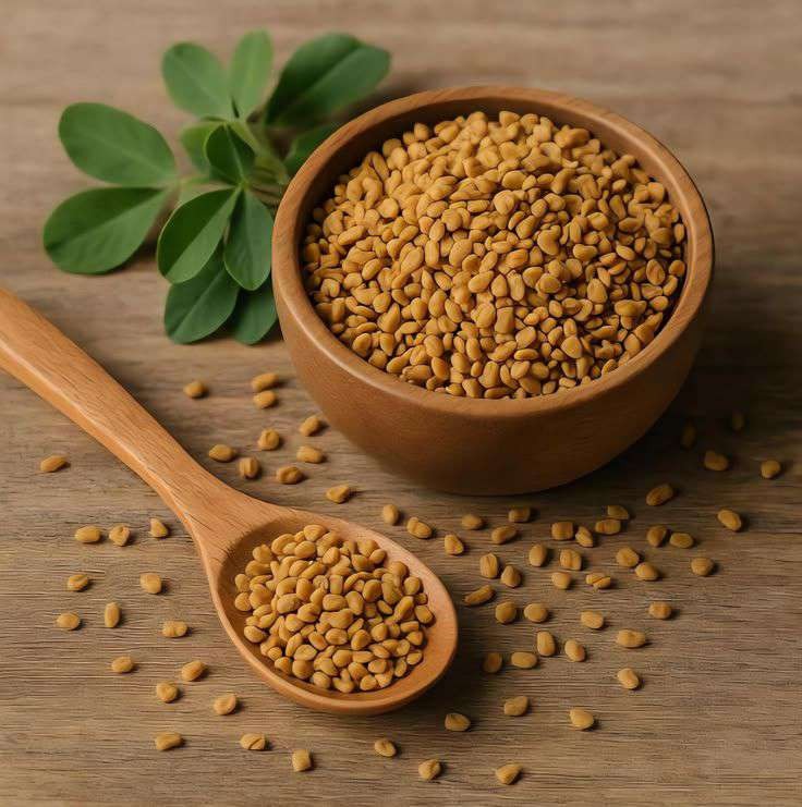 Fenugreek Seeds