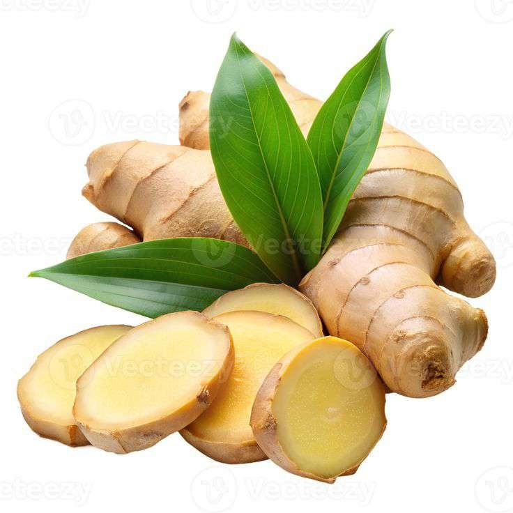 Ginger