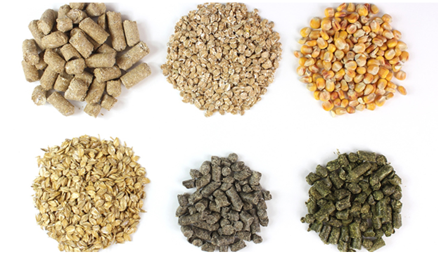 Animal feed materials for bulk buyers