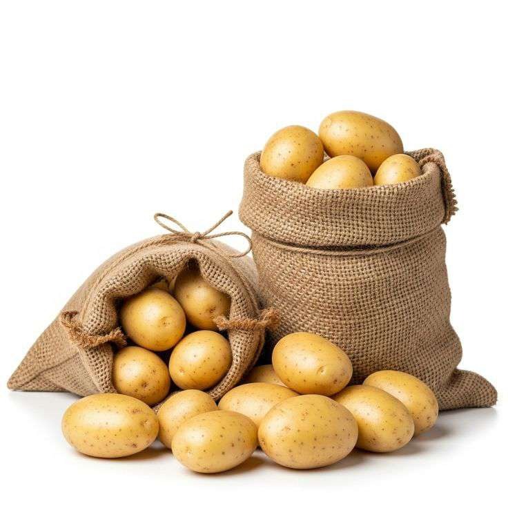 Potato